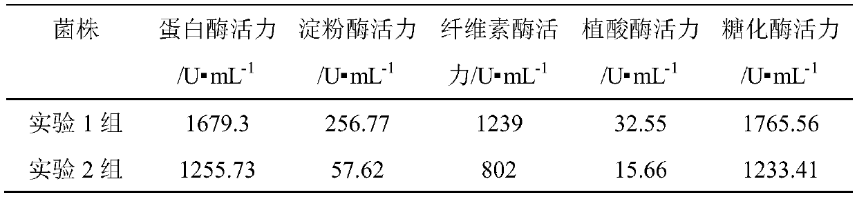 Fodder for sows in lactation period and preparation method thereof