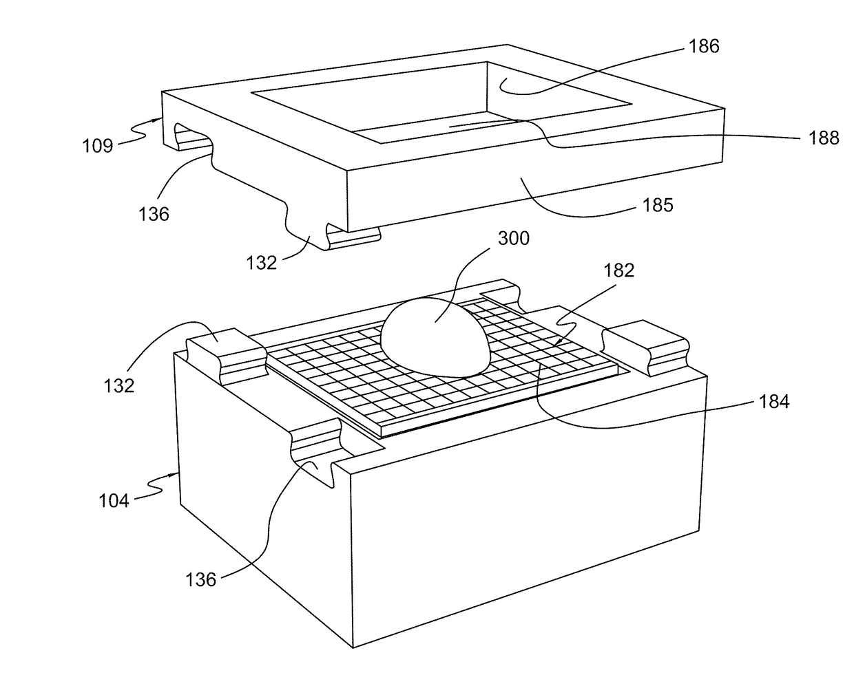 System and method for multi-axis imaging of specimens