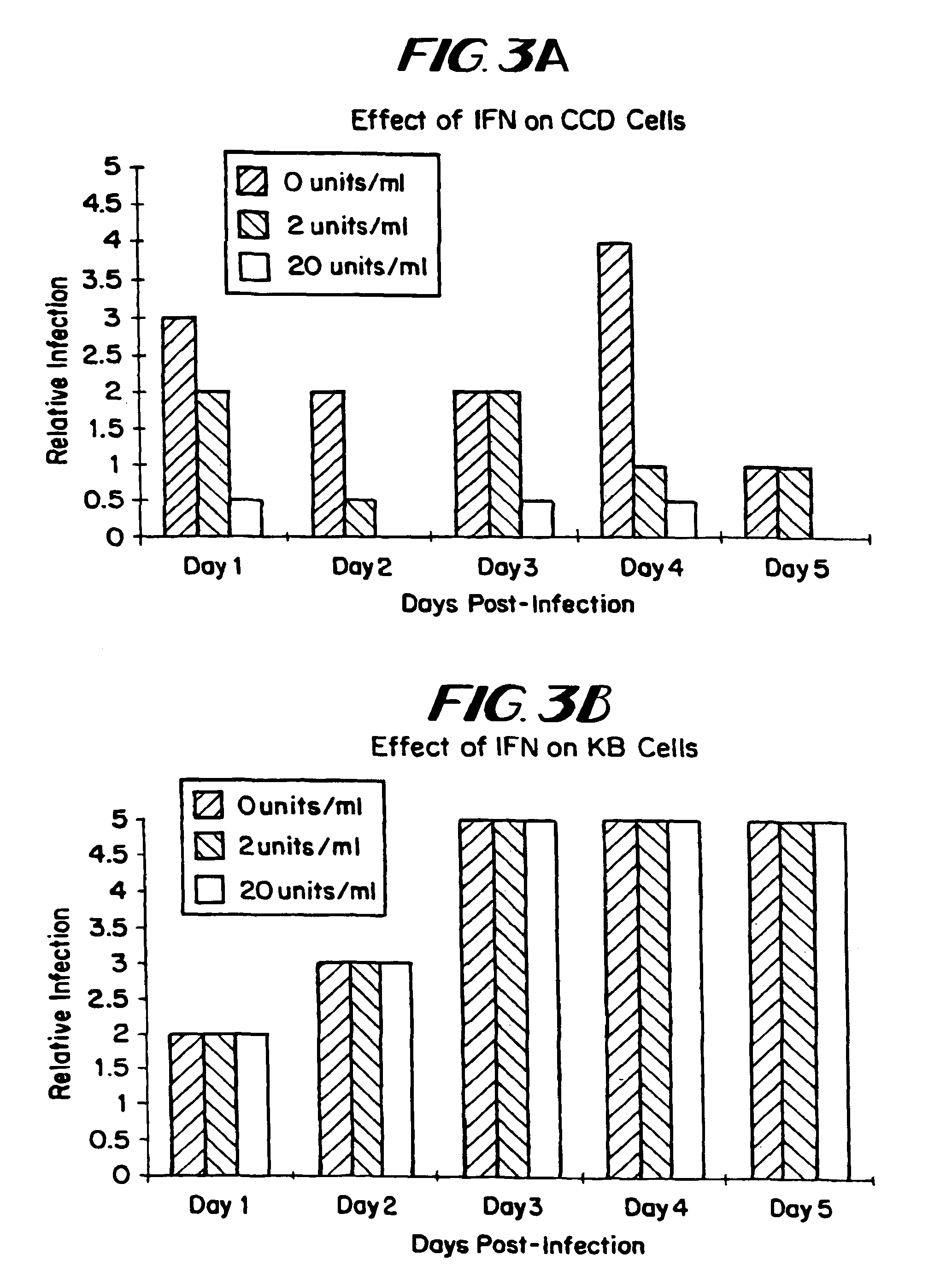 Infection and treatment of neoplasms with vesicular stomatitis virus