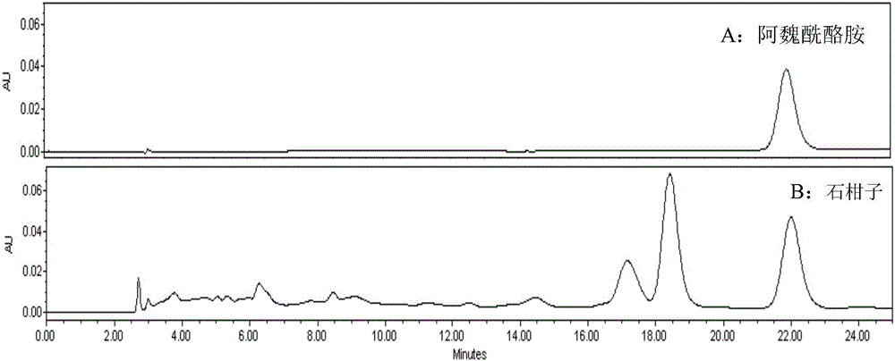 Method for rapid determination of feruloyltyramine content in Pothos chinensis