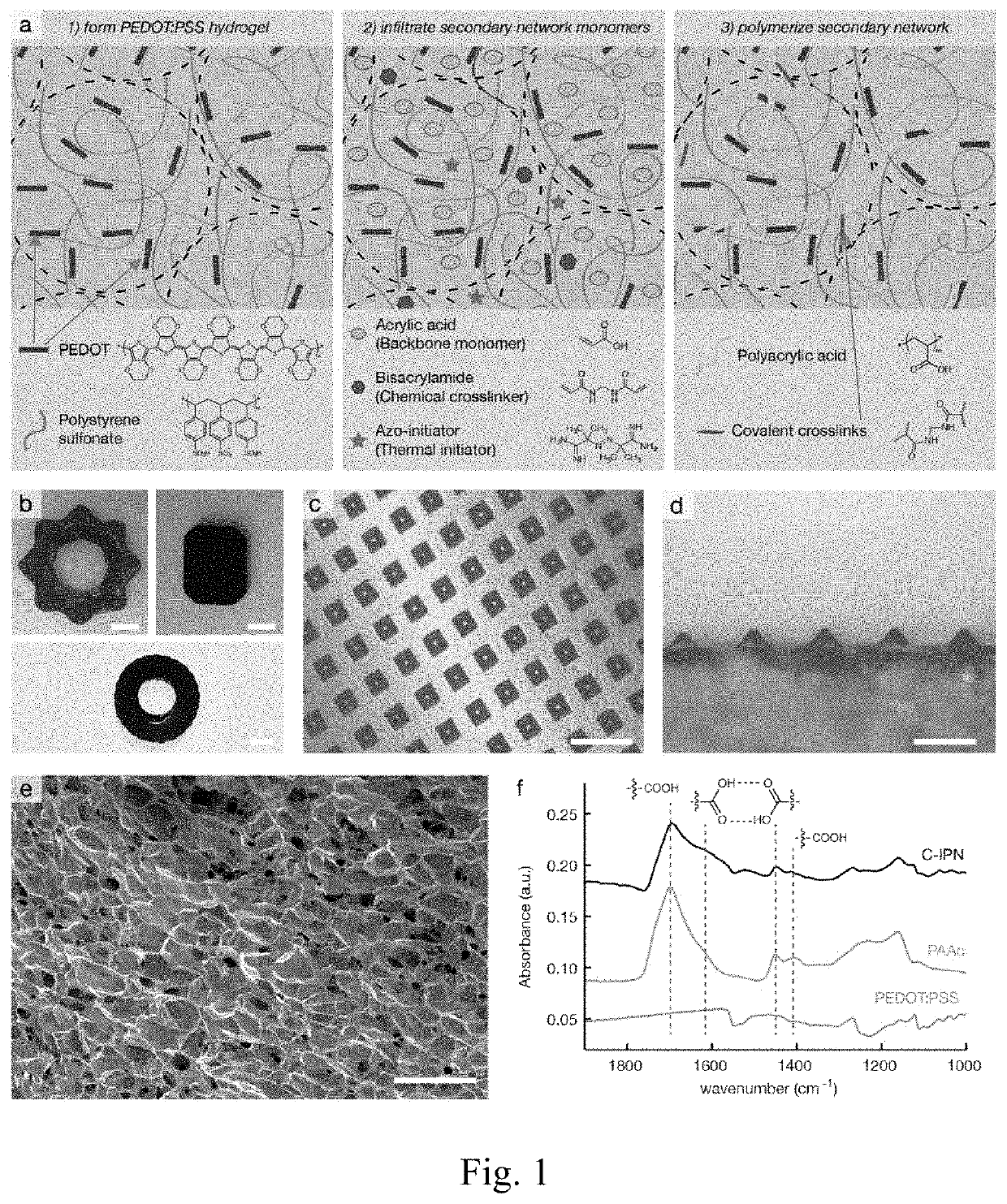 Electrically conductive hydrogels with tunable properties