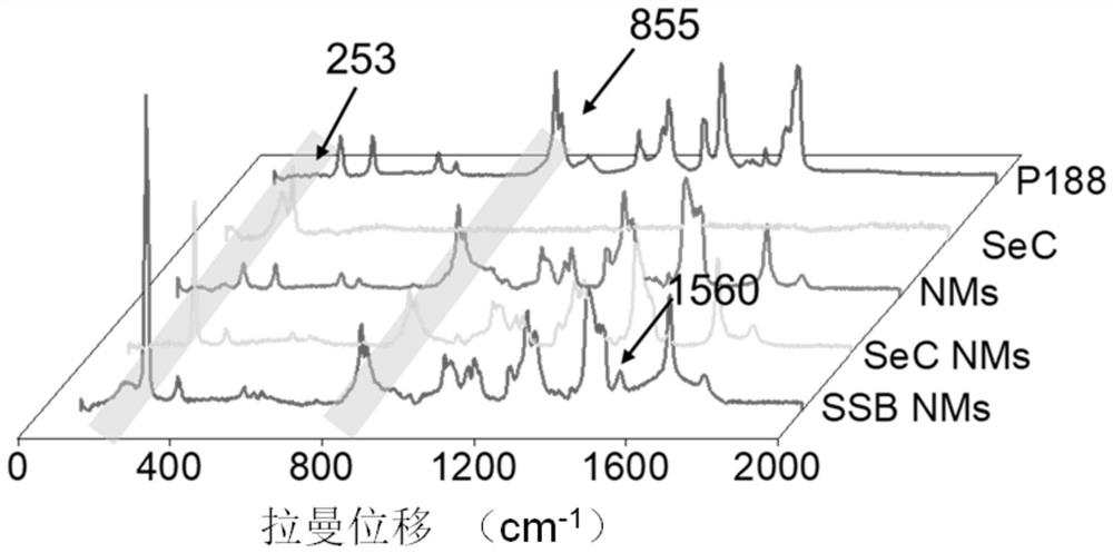 A composition capable of sensitizing NK cells and its application