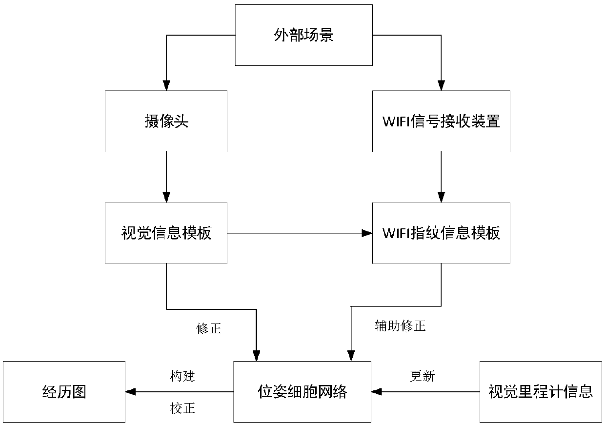 Simultaneous localization and mapping method and device based on rodent model