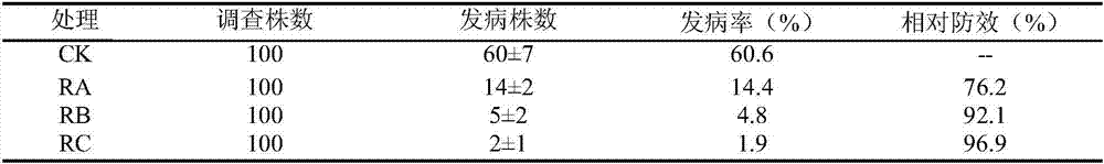 A cultivation method for crop rotation prevention and control of banana plant pathogenic nematode disease