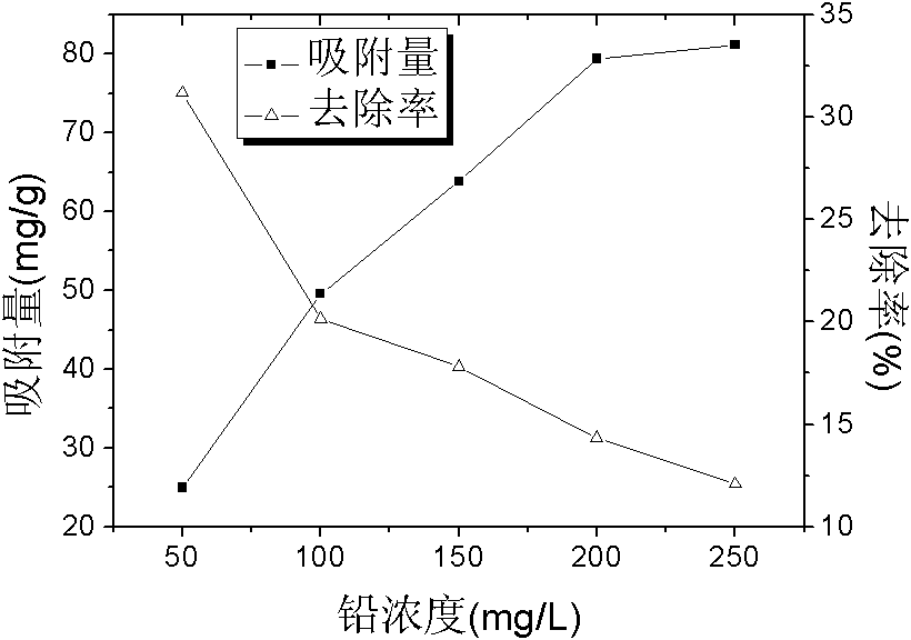 Heavy metal-tolerant bacterial strain and application thereof