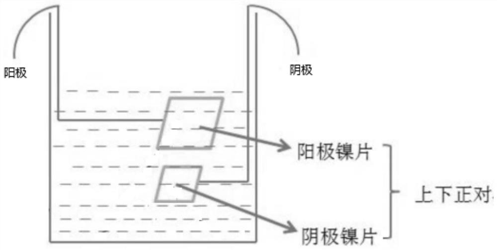 Preparation method of micron-scale nickel-based superalloy powder transmission electron microscope thin film sample