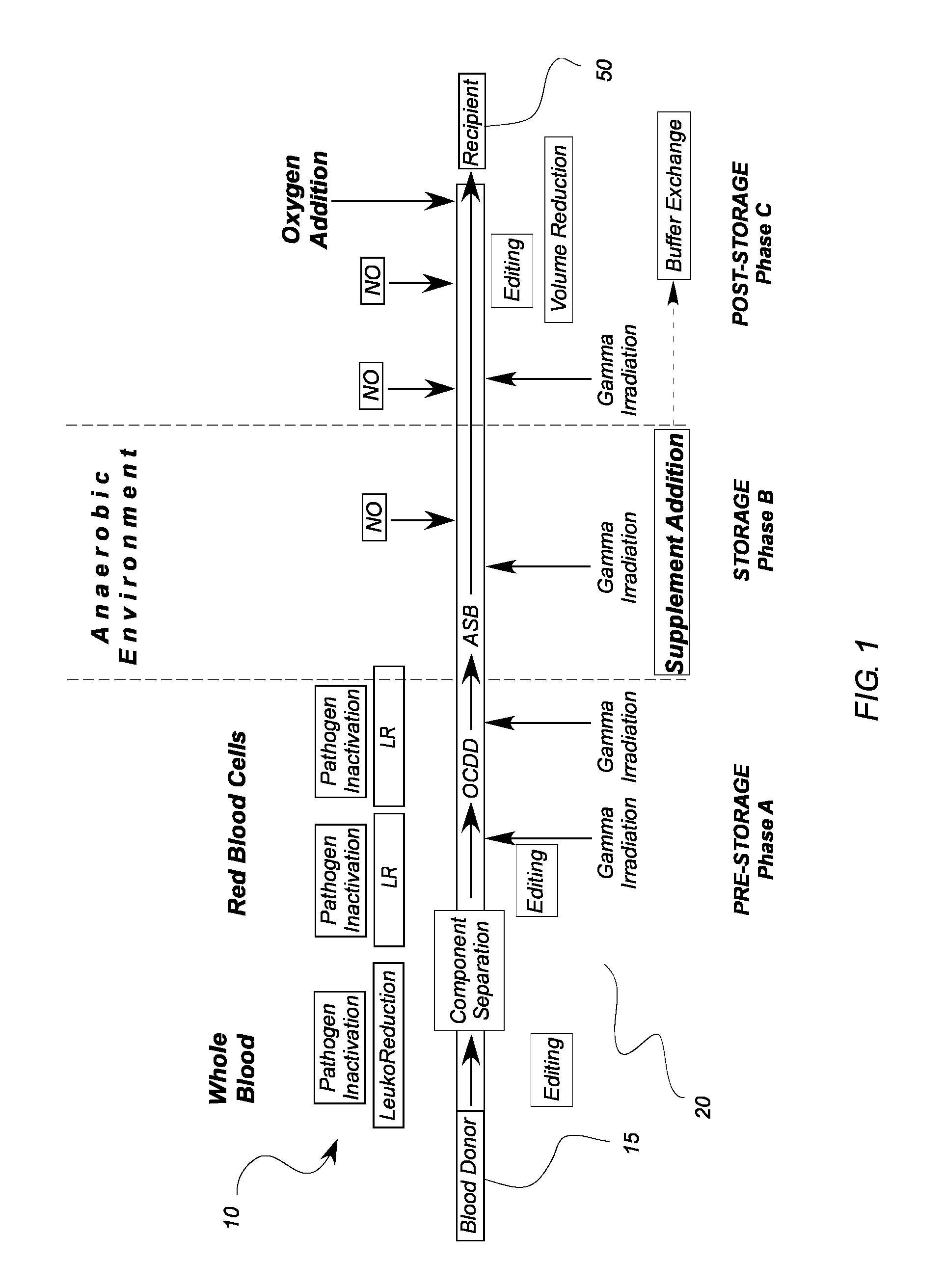 System for extended storage of red blood cells and methods of use