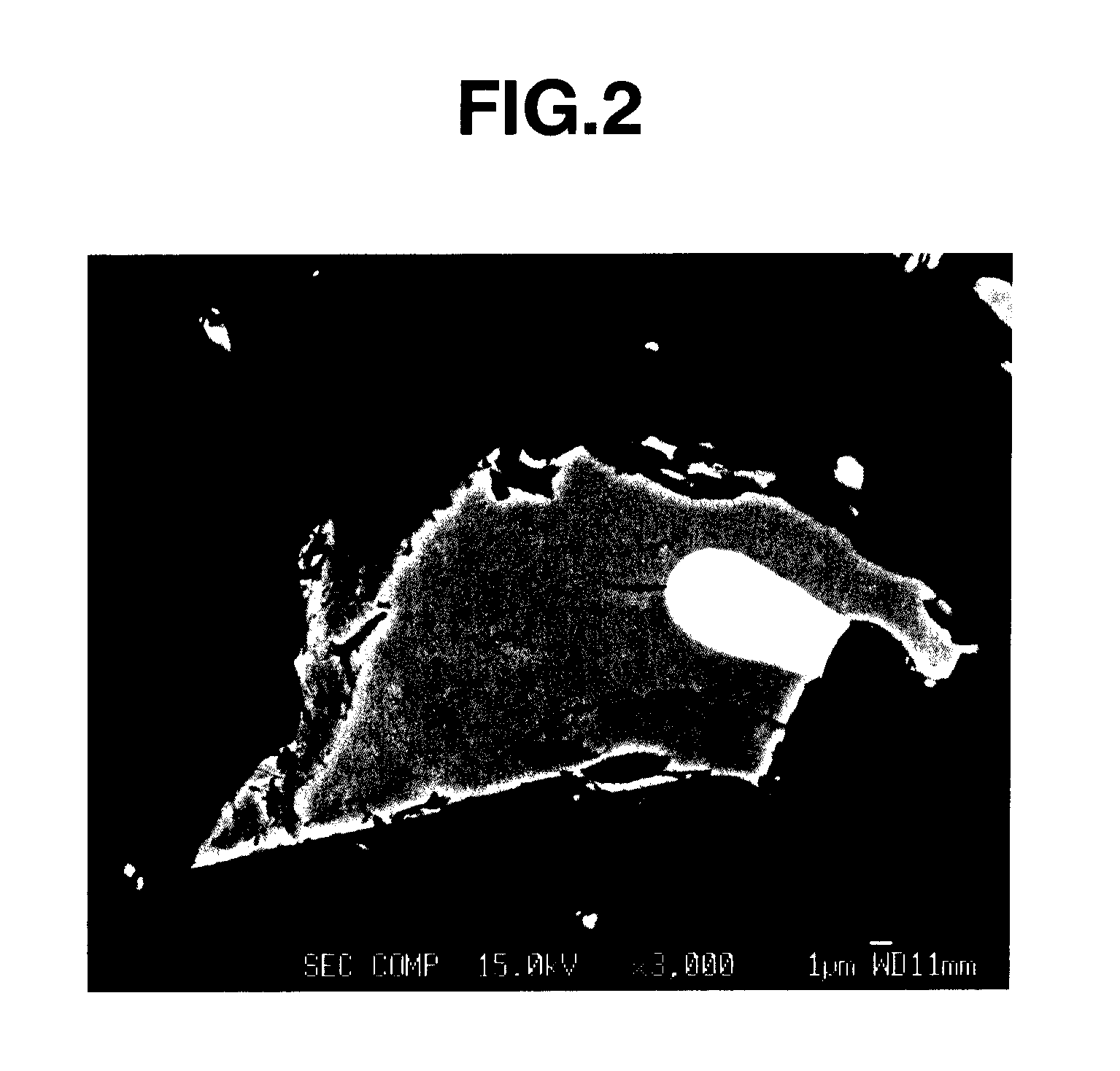 Rare earth magnet and its preparation