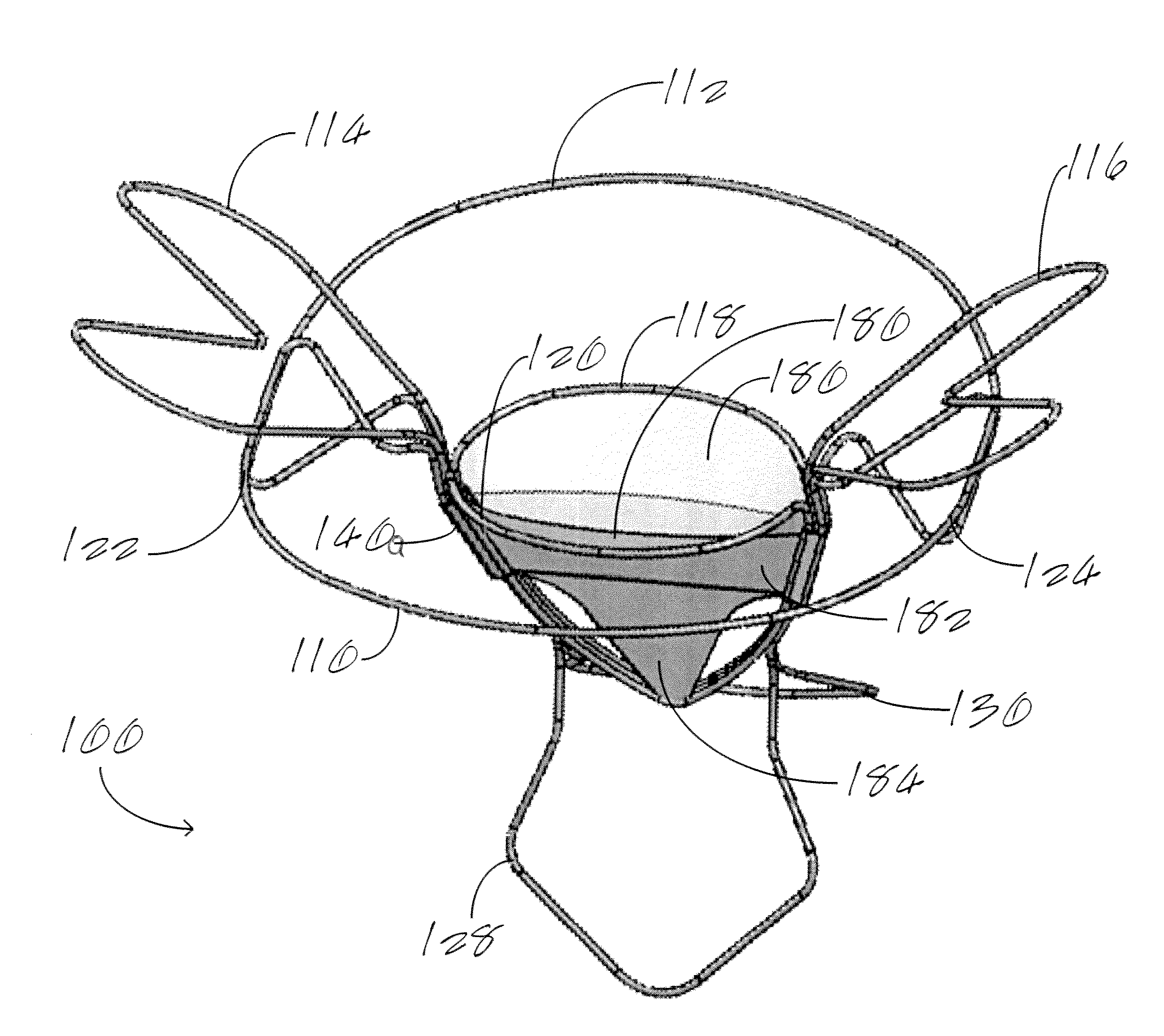 Cardiac Valve Repair Device