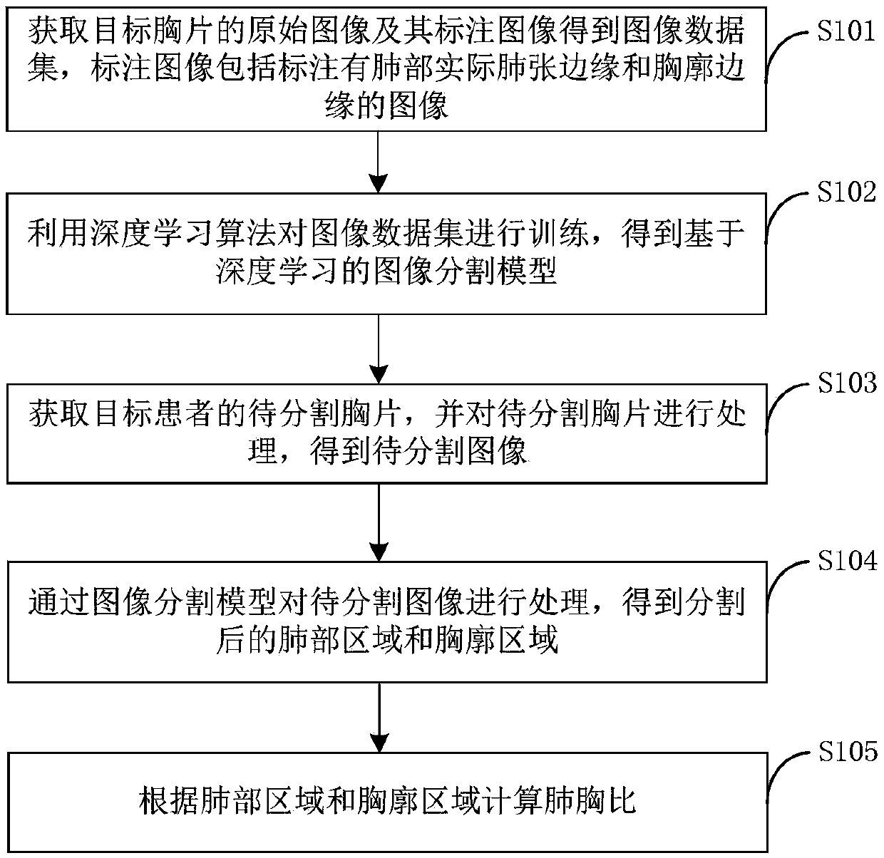 Chest radiograph segmentation and processing method and system and electronic equipment