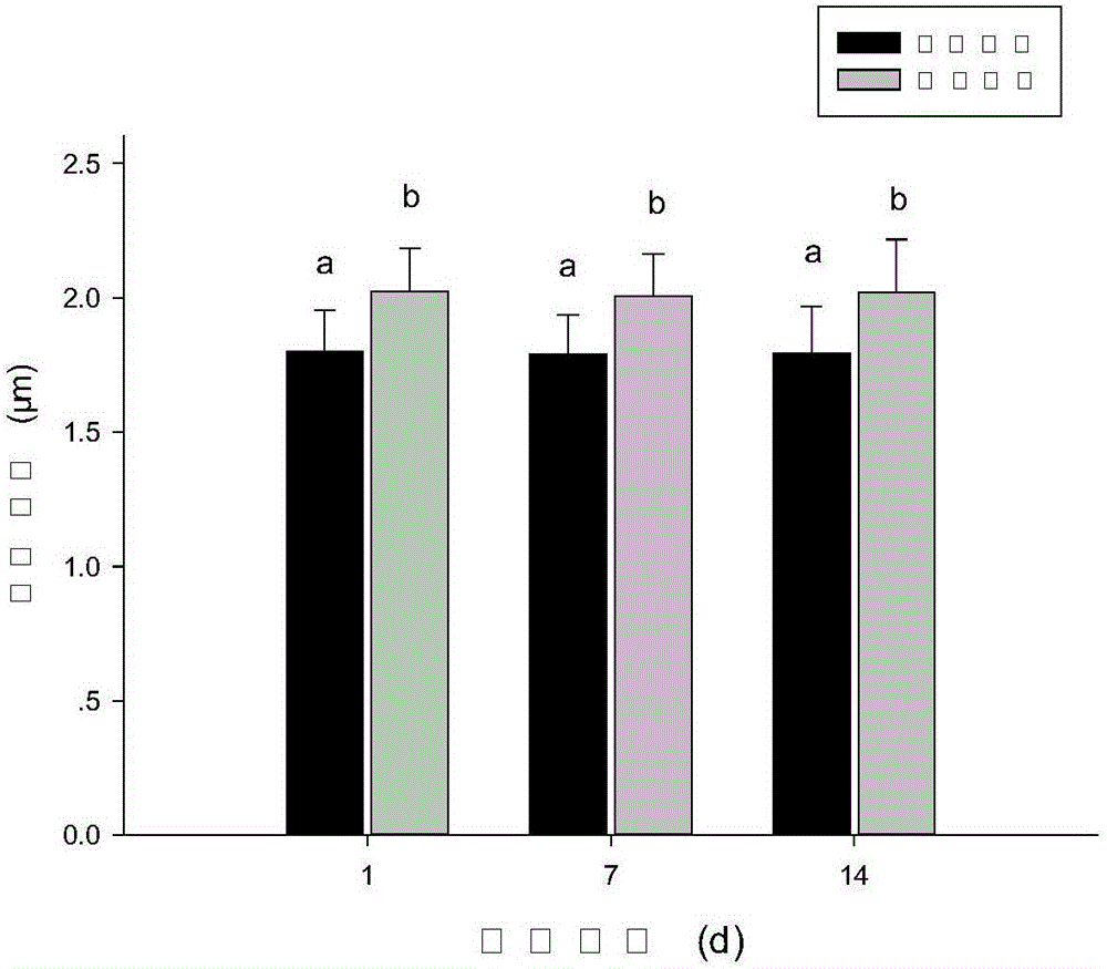 Method for improving beef quality by gradually cooling beef carcasses