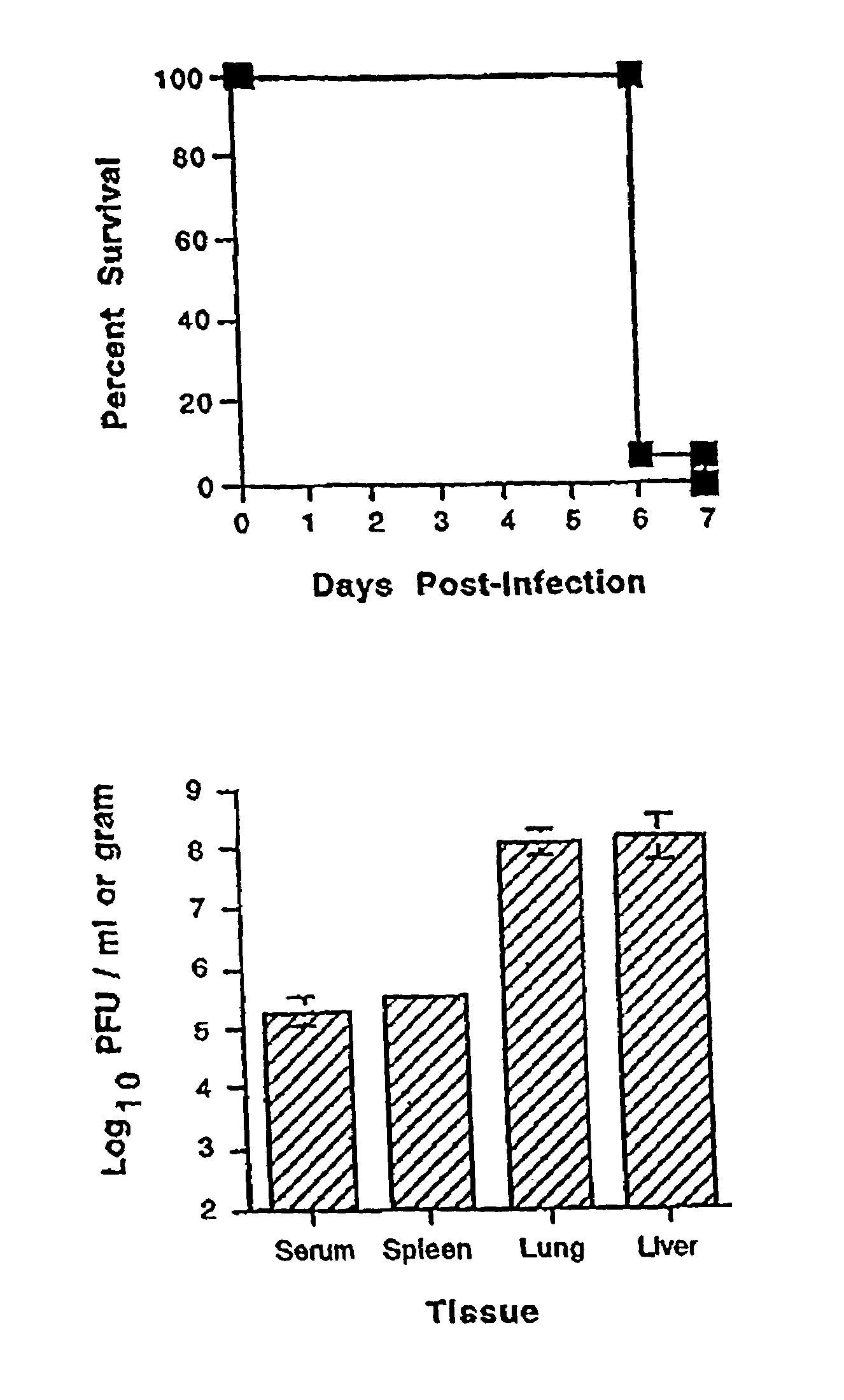 Reversal of viral-induced systemic shock and respiratory distress by blockade of the lymphotoxin beta pathway