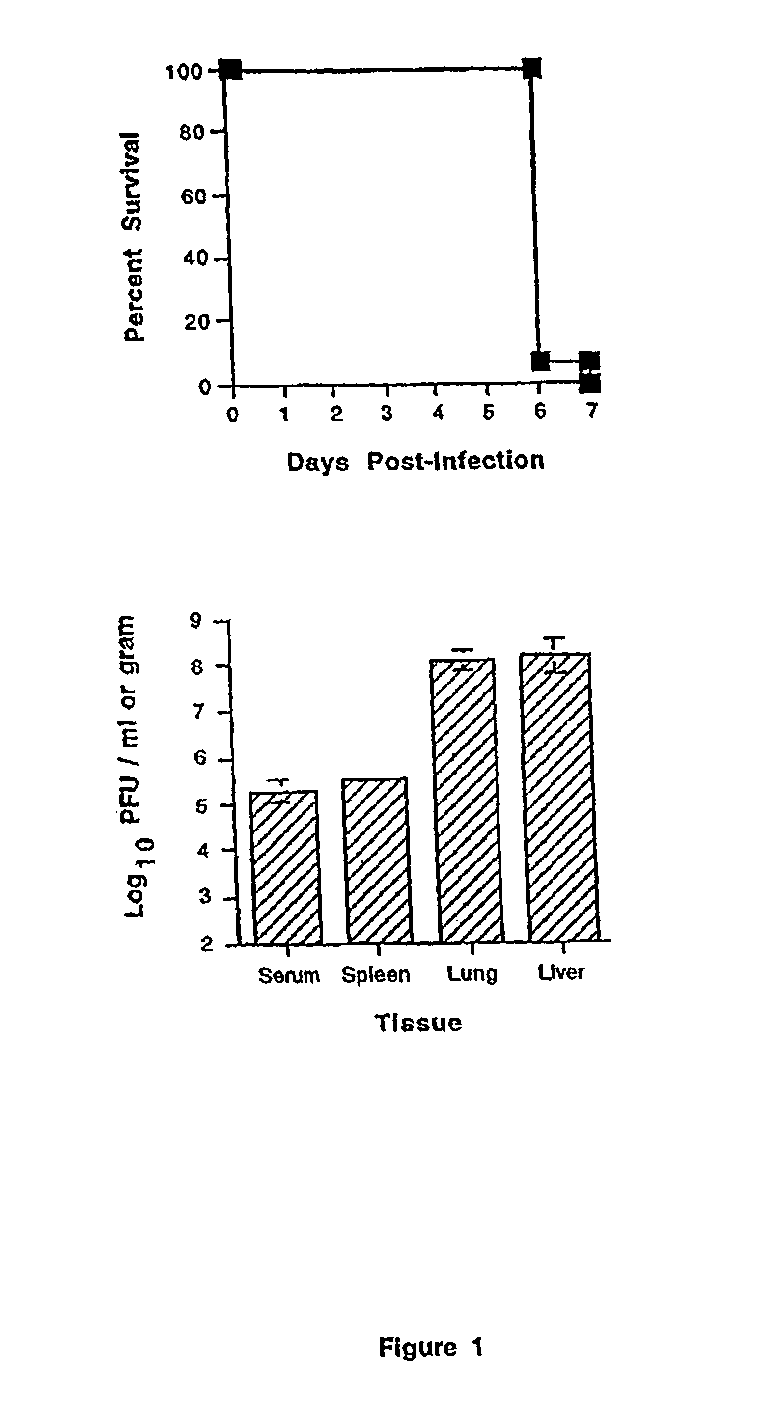 Reversal of viral-induced systemic shock and respiratory distress by blockade of the lymphotoxin beta pathway