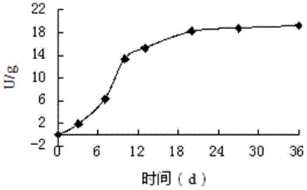 Preparation method of composite probiotic fruit and vegetable enzyme