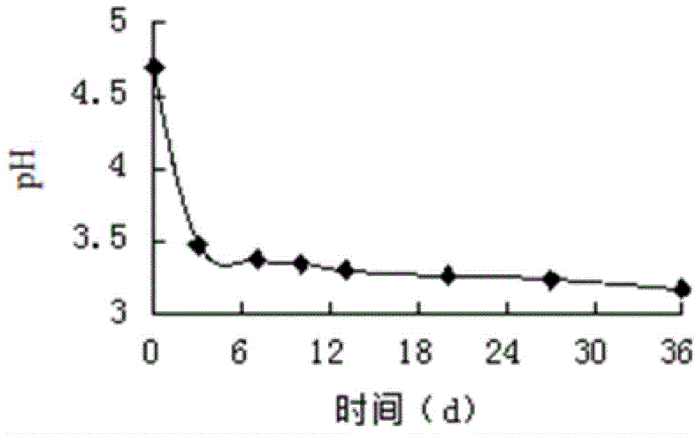 Preparation method of composite probiotic fruit and vegetable enzyme