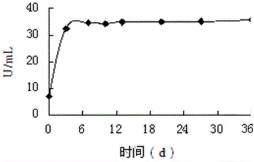 Preparation method of composite probiotic fruit and vegetable enzyme