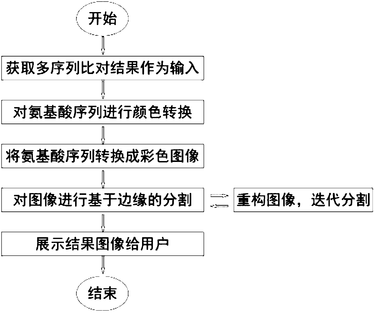 Multiple sequence alignment visualization method based on image processing