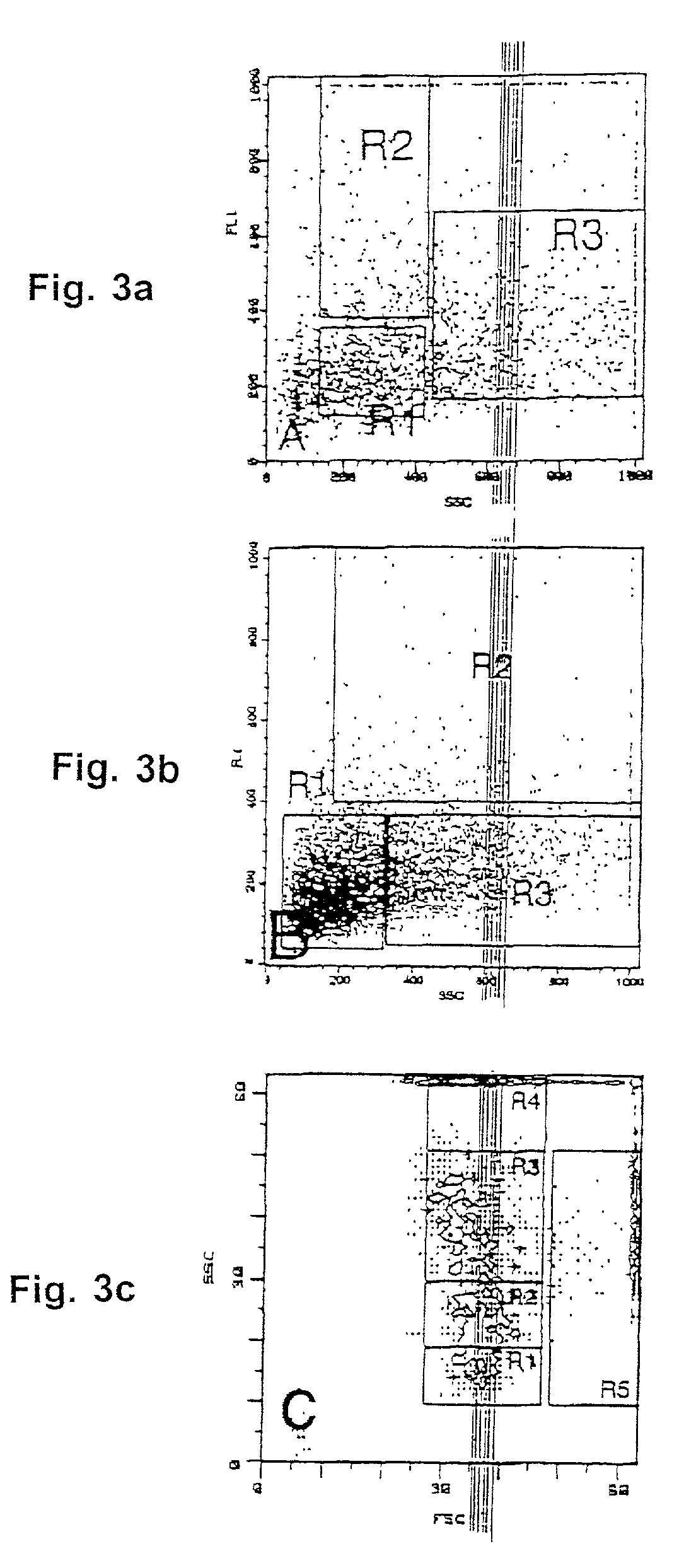 Method for producing preparations of mature and immature pancreatic endocrine cells, the cell preparation and its use for treatment of diabetes mellitus