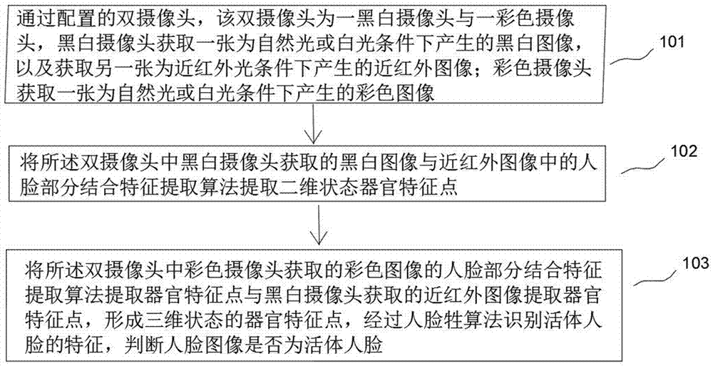 Double-camera recognition method and device for human face of living body