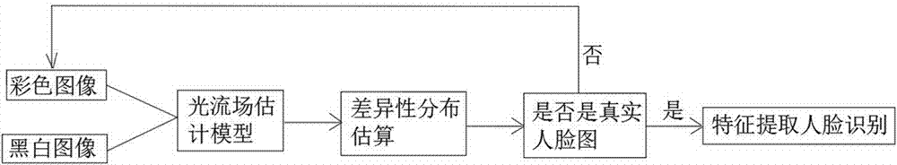 Double-camera recognition method and device for human face of living body