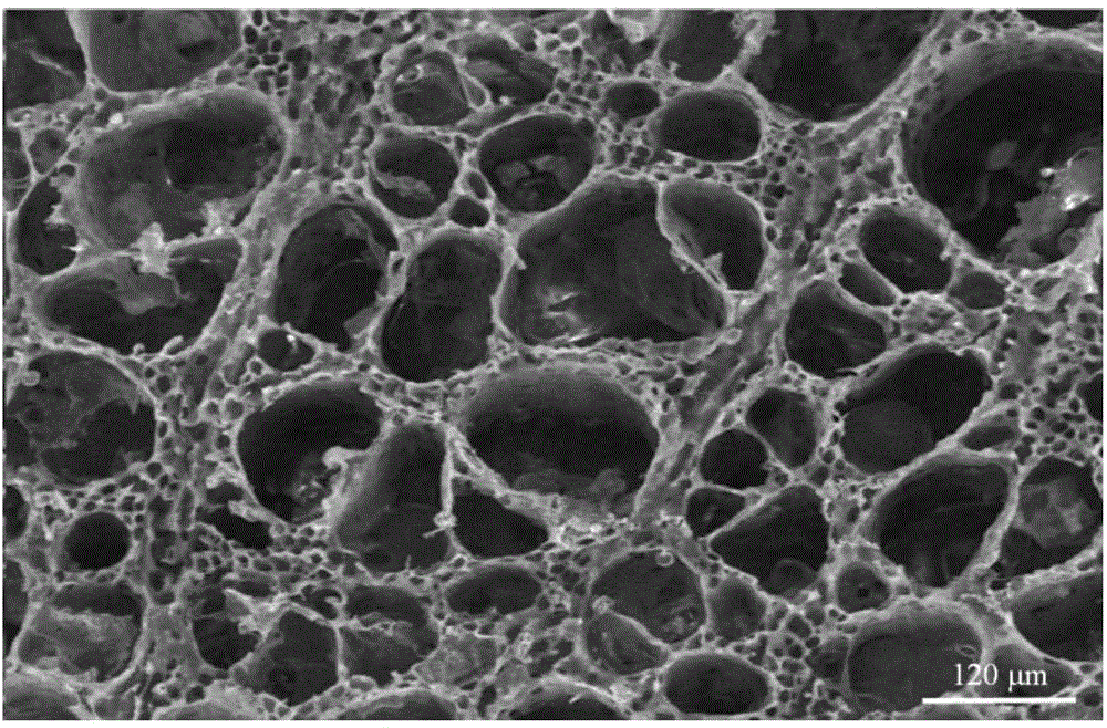 Double-peak pore-structure polymer support, and preparation method and application thereof