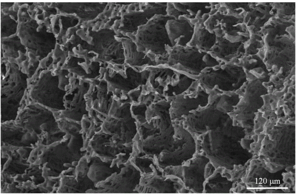 Double-peak pore-structure polymer support, and preparation method and application thereof