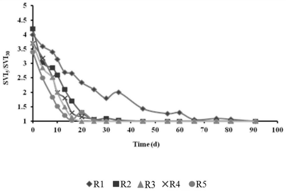 Aerobic granular sludge rapid culture and stabilization method based on quorum sensing signal molecule synthesis