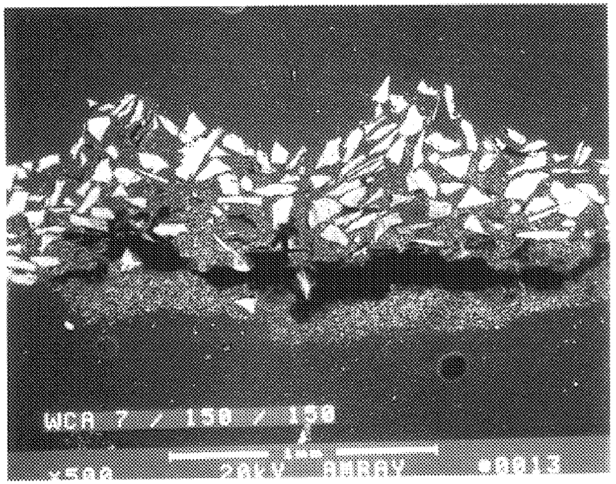 Production of layered engineered abrasive surfaces