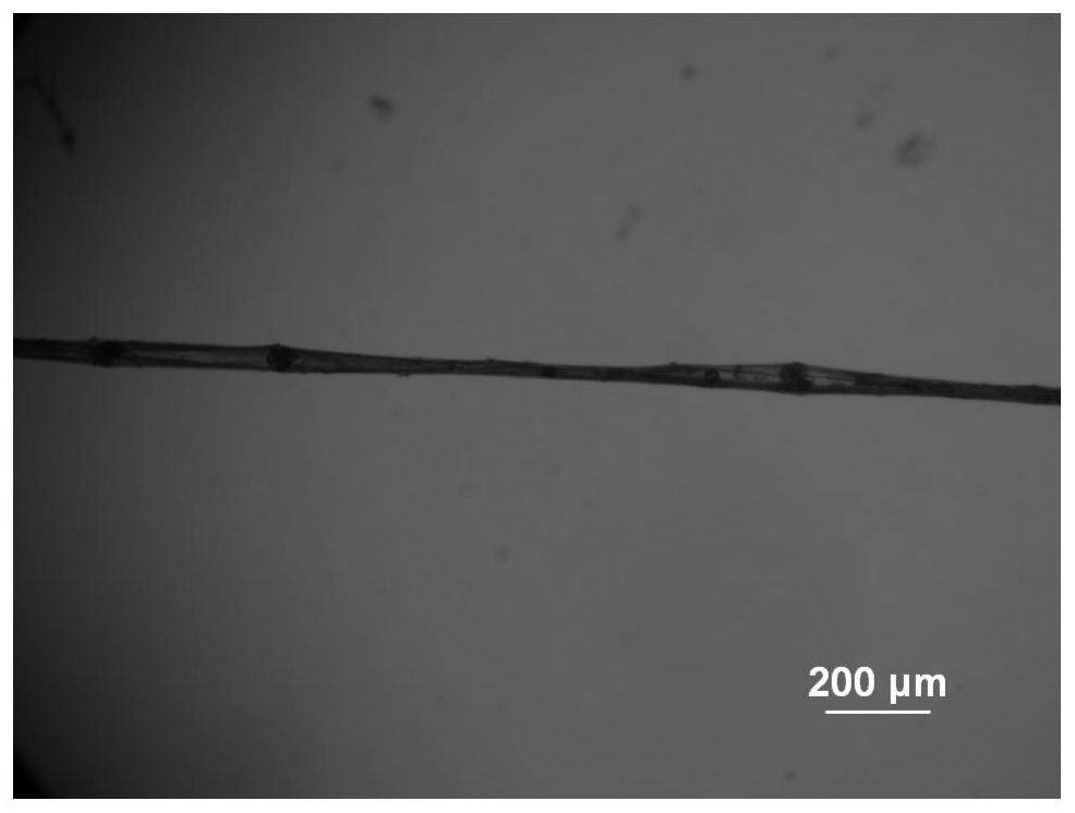 Spider silk-like polymer fiber, its preparation method and its use