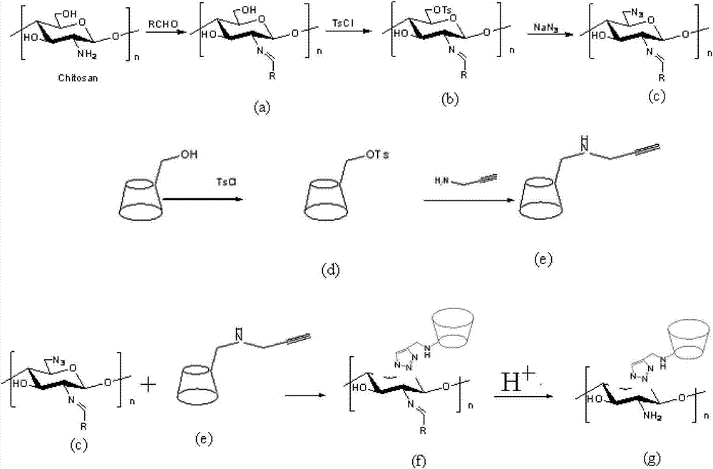 Preparation method of chitosan 6-OH immobilized cyclodextrin derivative and application thereof in H2O2 detection fluorescent biosensor