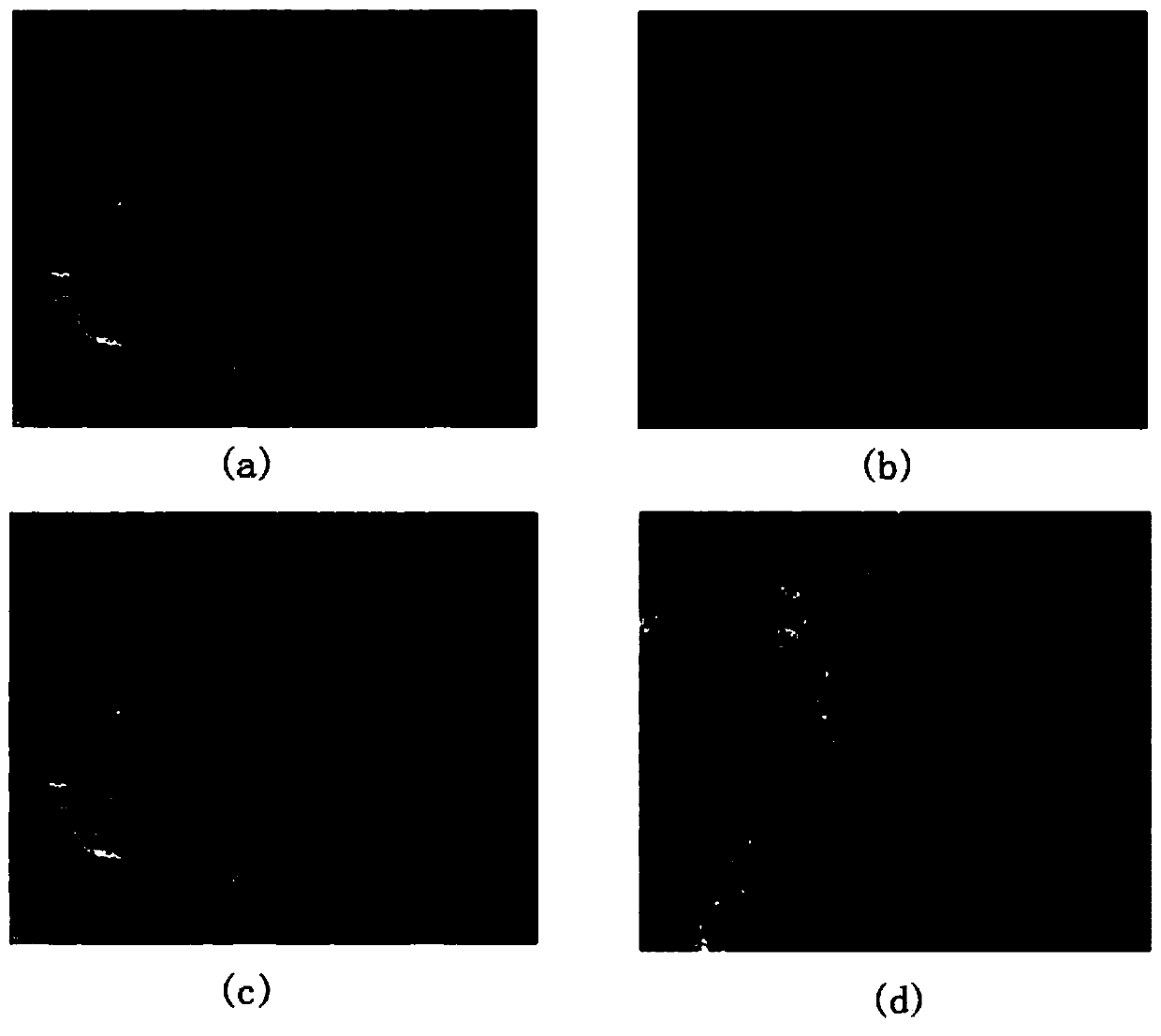 A method for pointing registration of spaceborne spectrometers based on remote sensing images of coastline regions