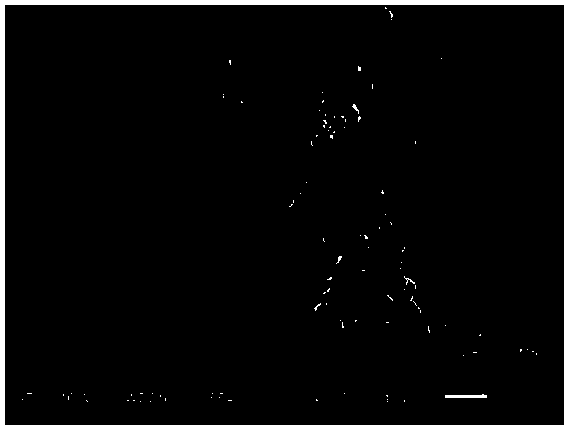 A method for preparing a uniform porous tungsten product