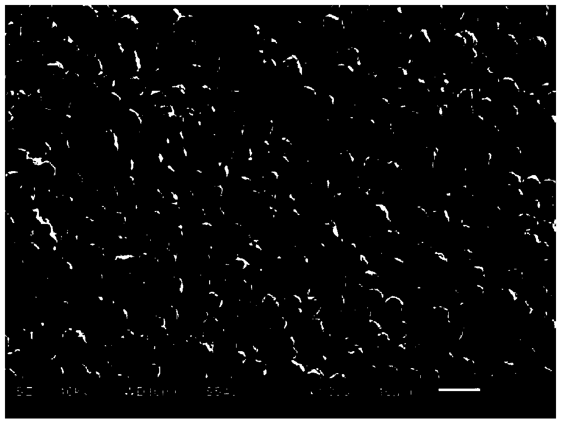 A method for preparing a uniform porous tungsten product