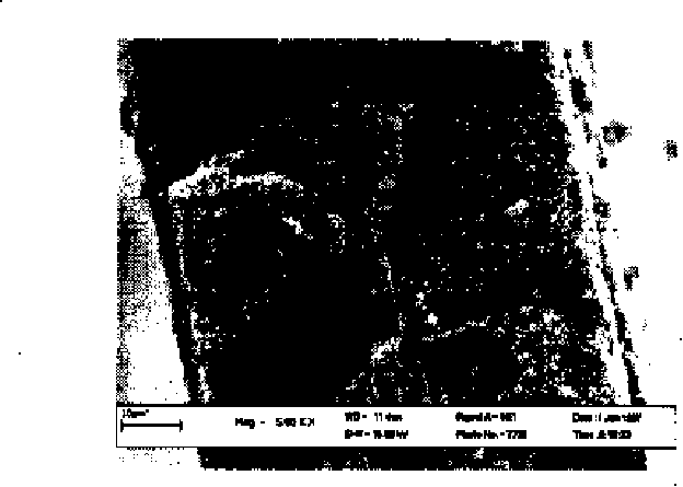 Electrolytic capacitor aluminum foil oxidation film stripping liquid and microscopic appearance measurement method