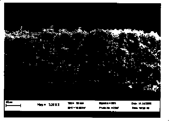 Electrolytic capacitor aluminum foil oxidation film stripping liquid and microscopic appearance measurement method