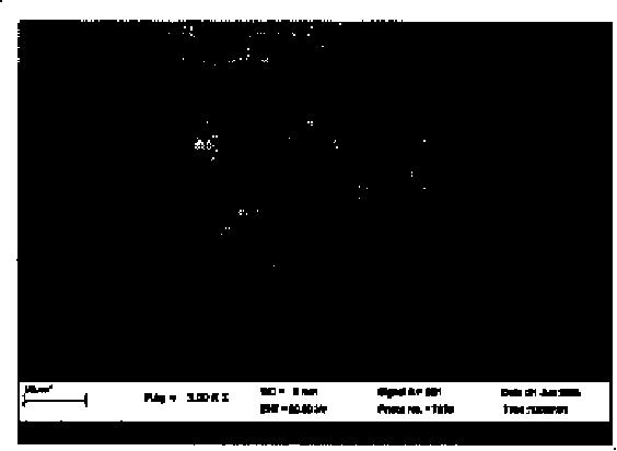 Electrolytic capacitor aluminum foil oxidation film stripping liquid and microscopic appearance measurement method