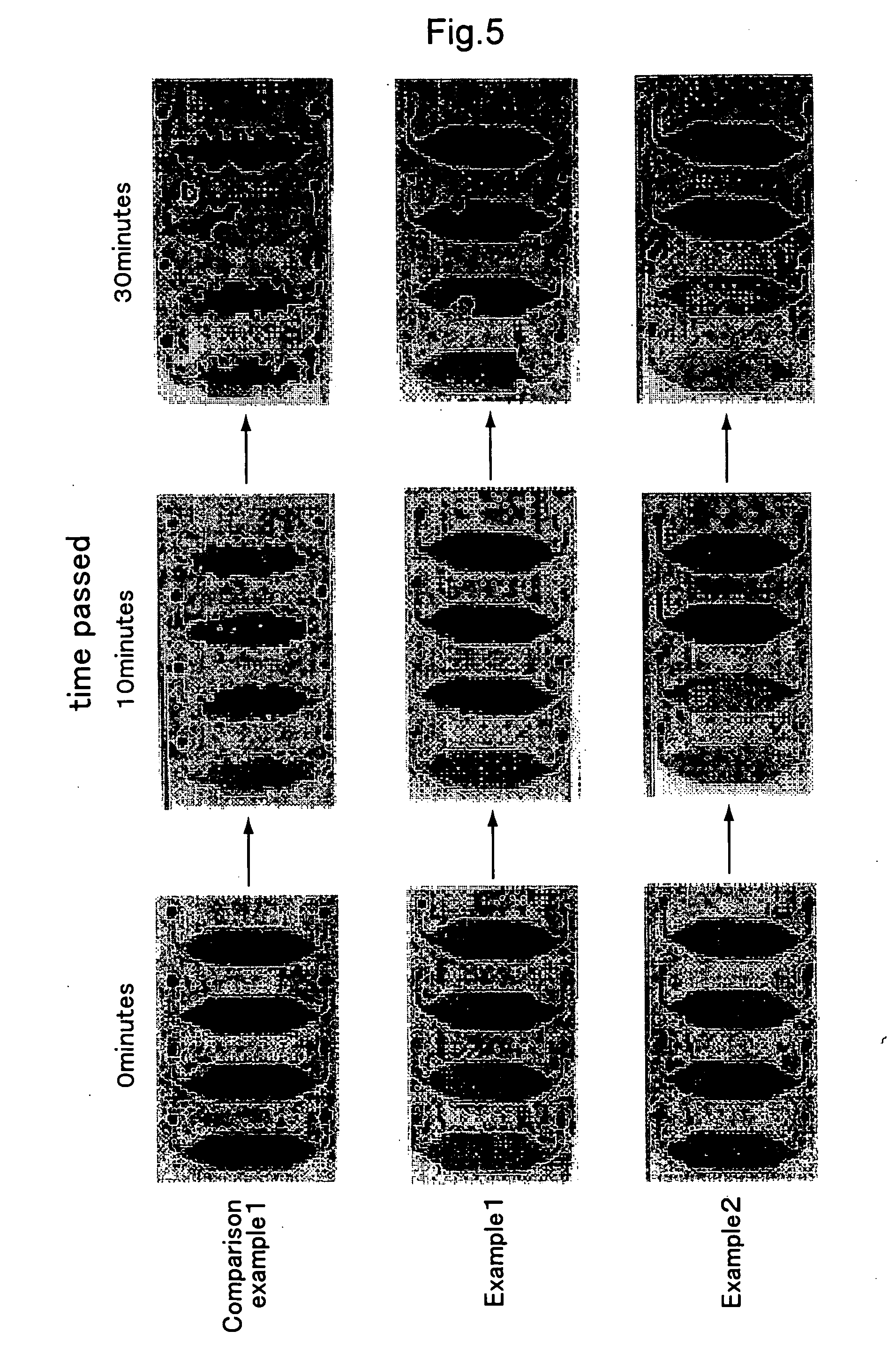 Bio-chip