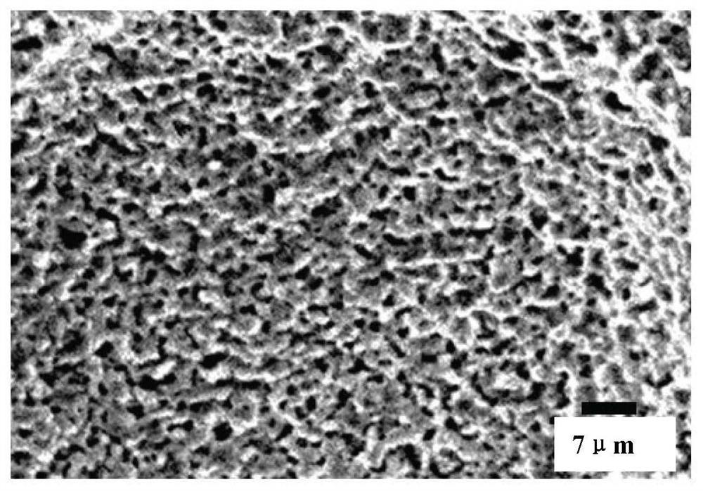 Hydroxyapatite ceramic as well as preparation method and application thereof