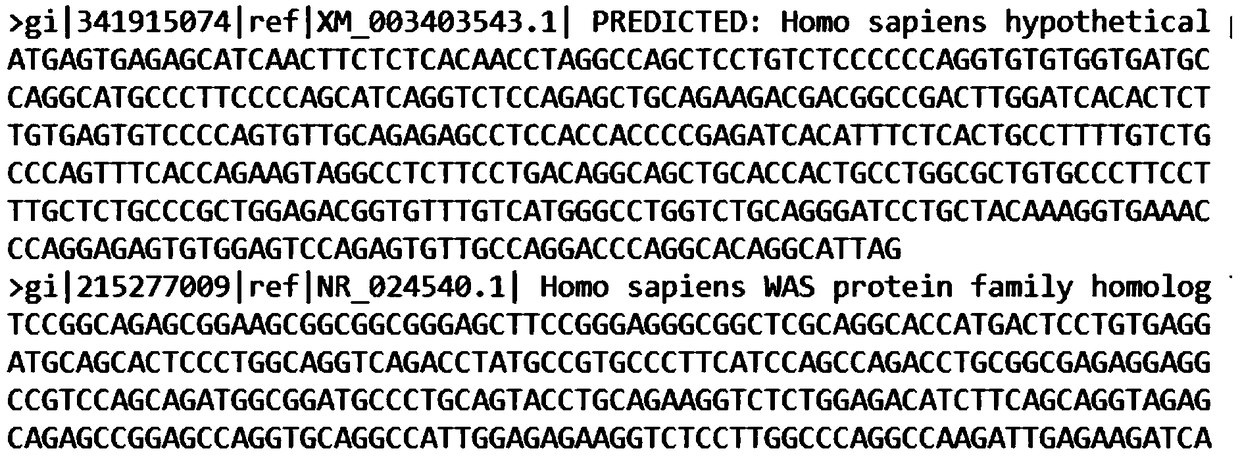 A dna and protein level mutation analysis system