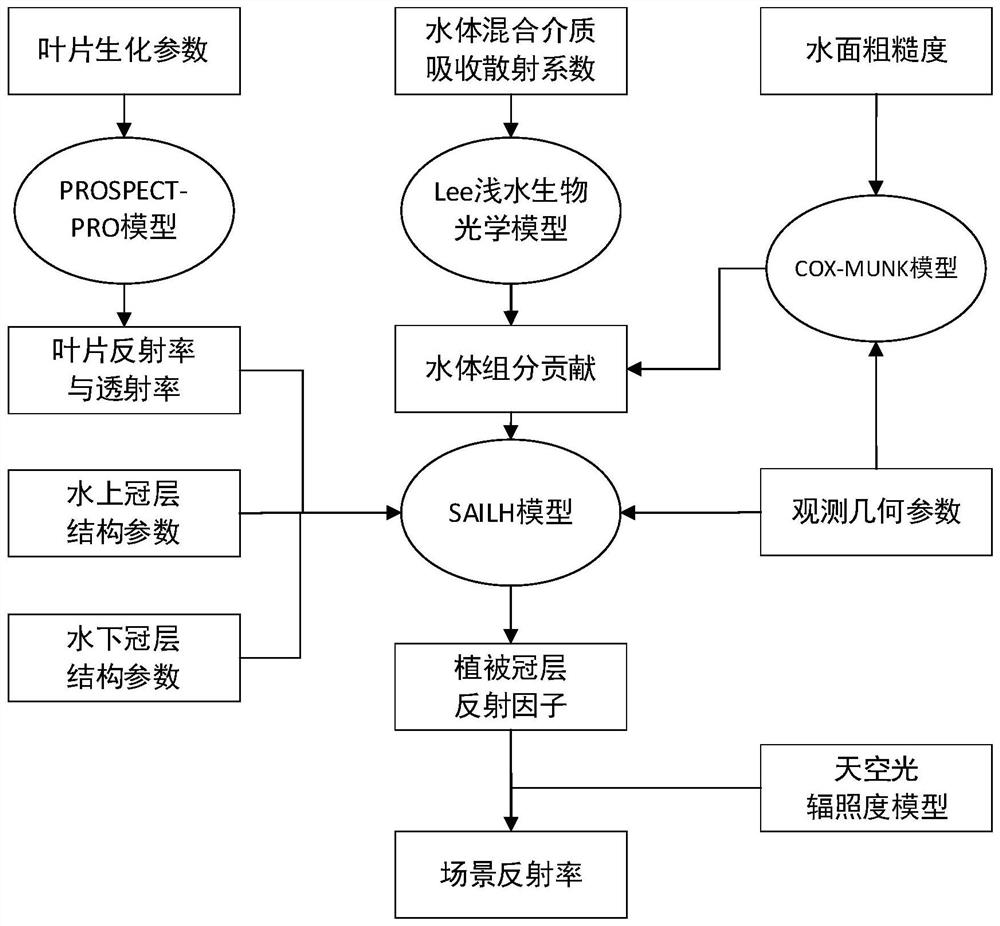 Wetland aquatic vegetation canopy total reflection spectrum radiation transfer modeling method