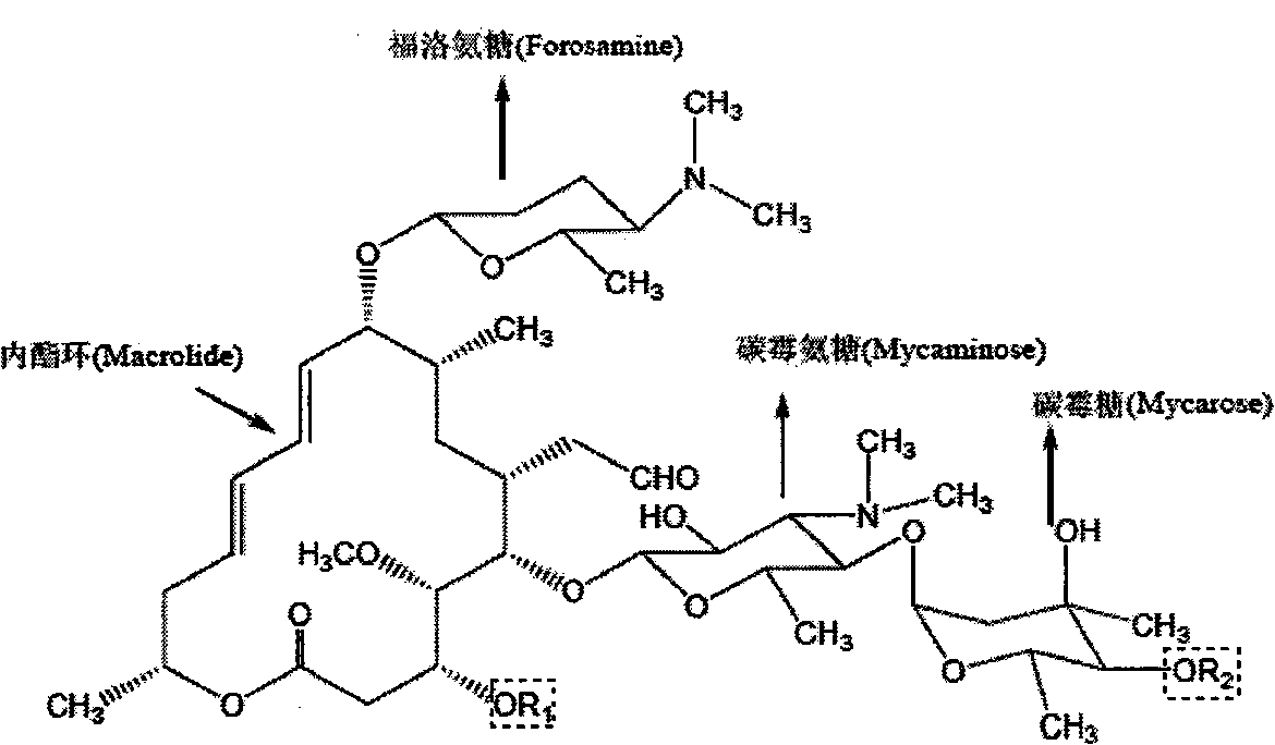 Purification technology of rokitamycin