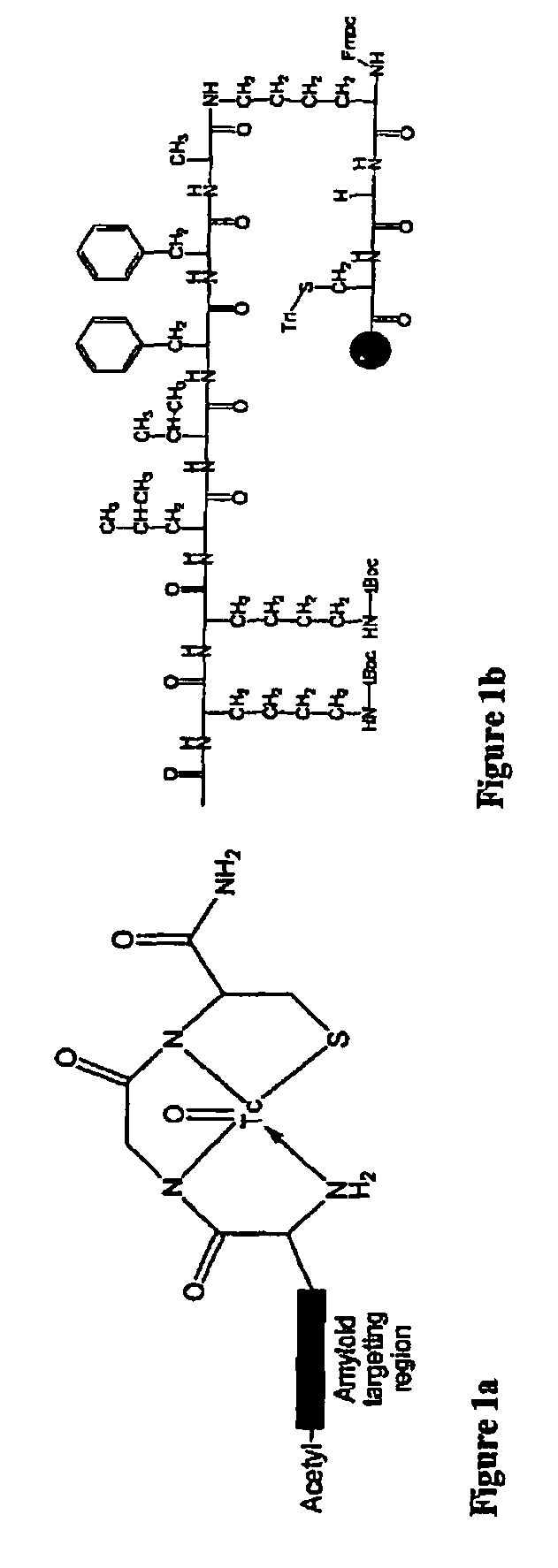 Blood brain barrier permeation peptides