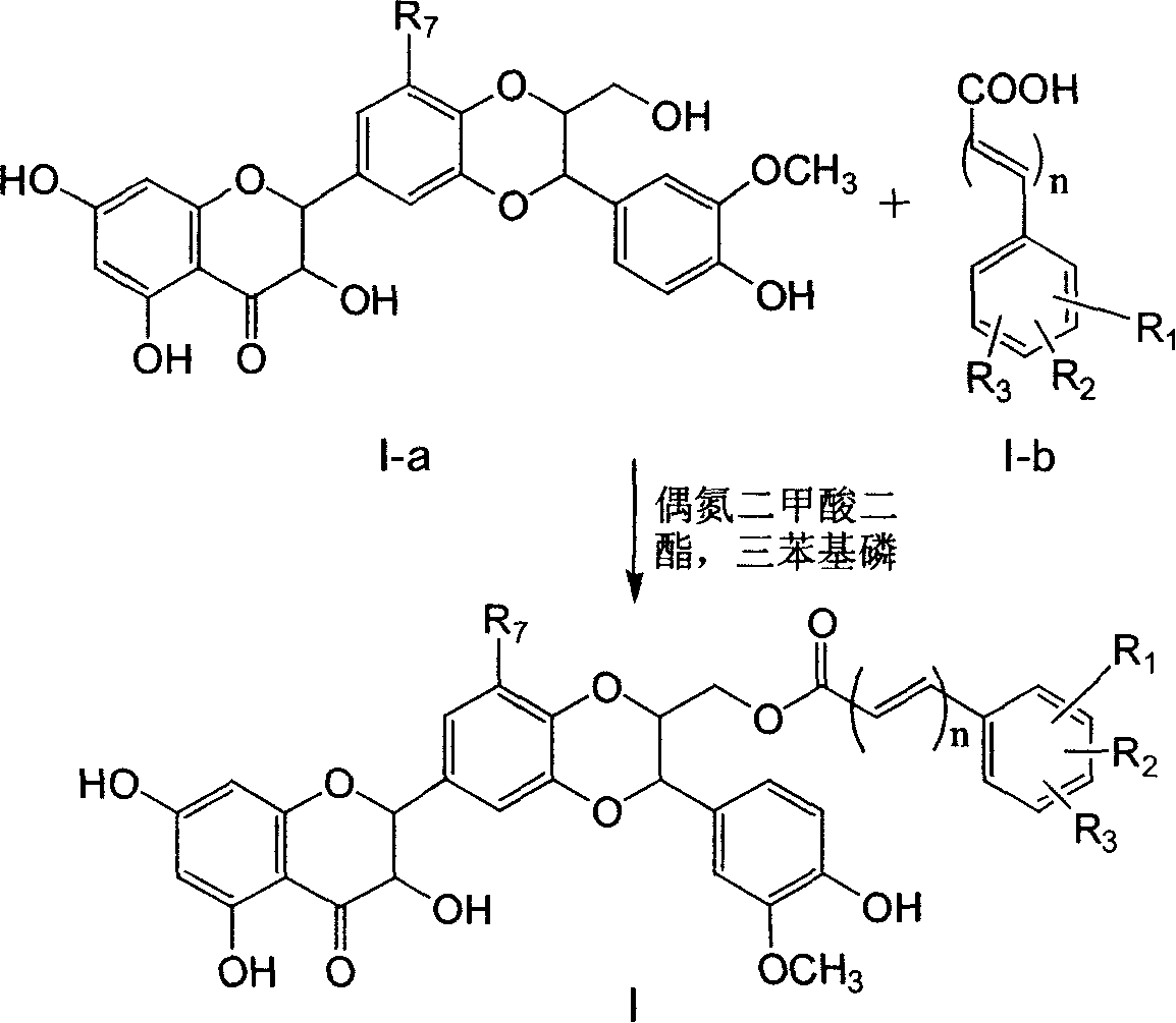 Silybin esters derivatives and preparation and use thereof