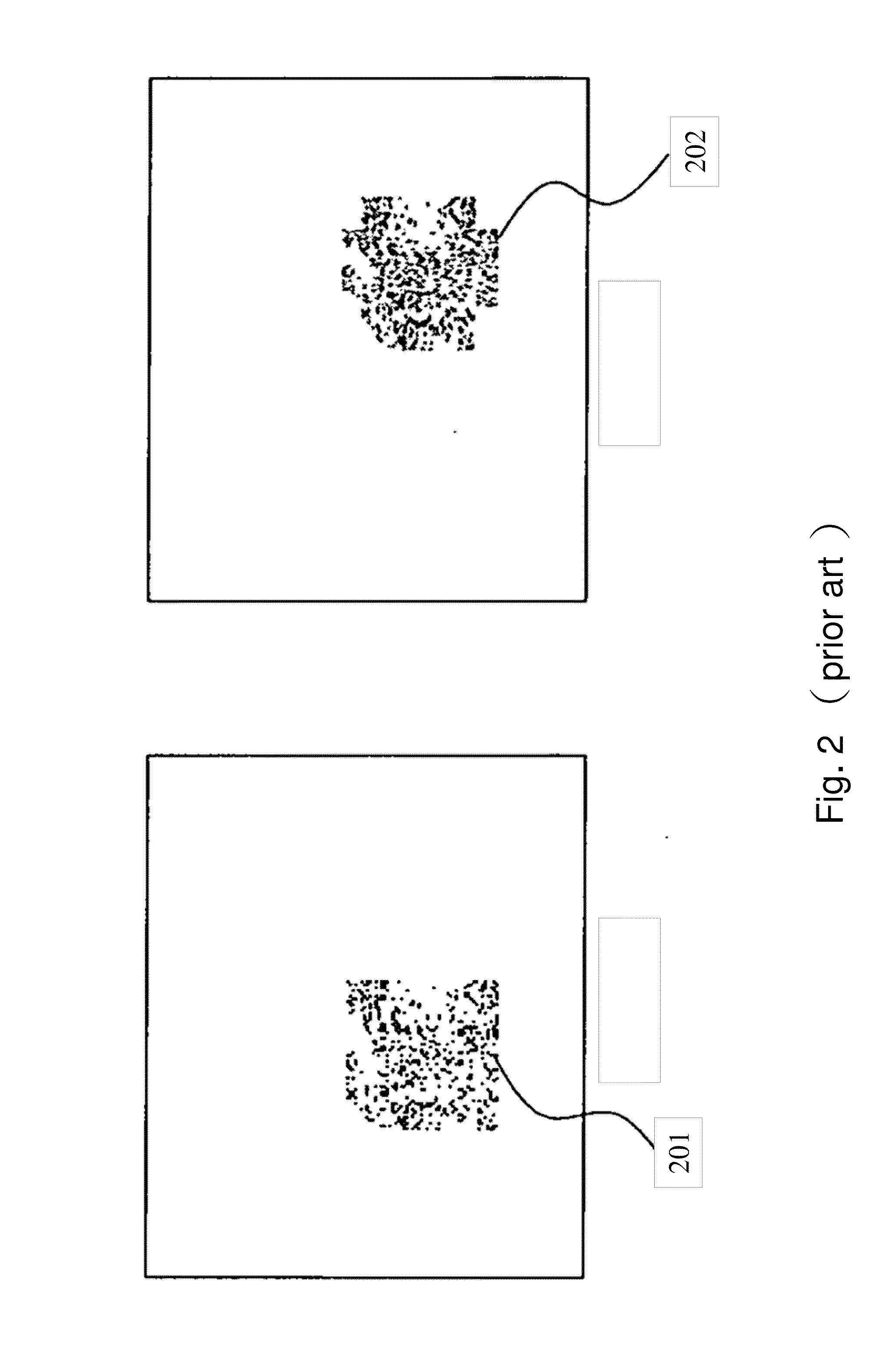 System of computing surface reconstruction, in-plane and out-of-plane displacements and strain distribution