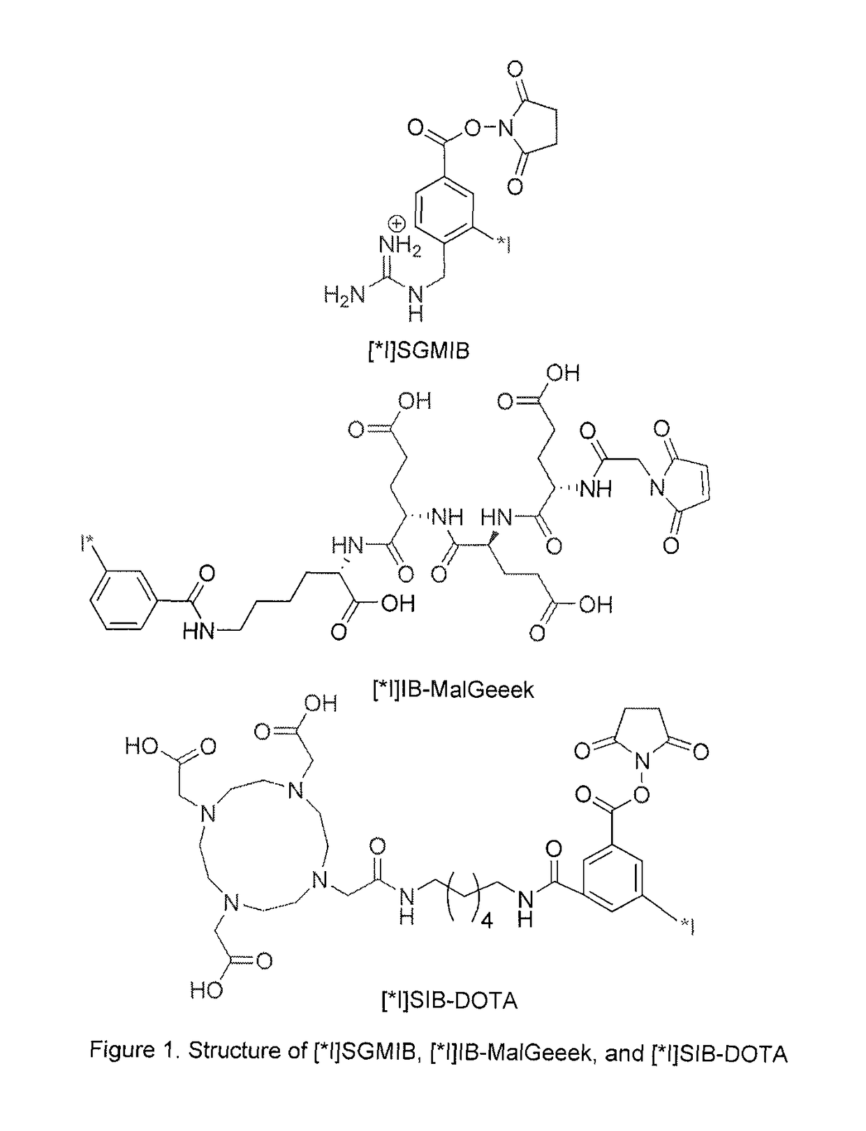 Prosthetic compounds for labeling internalizing biomolecules