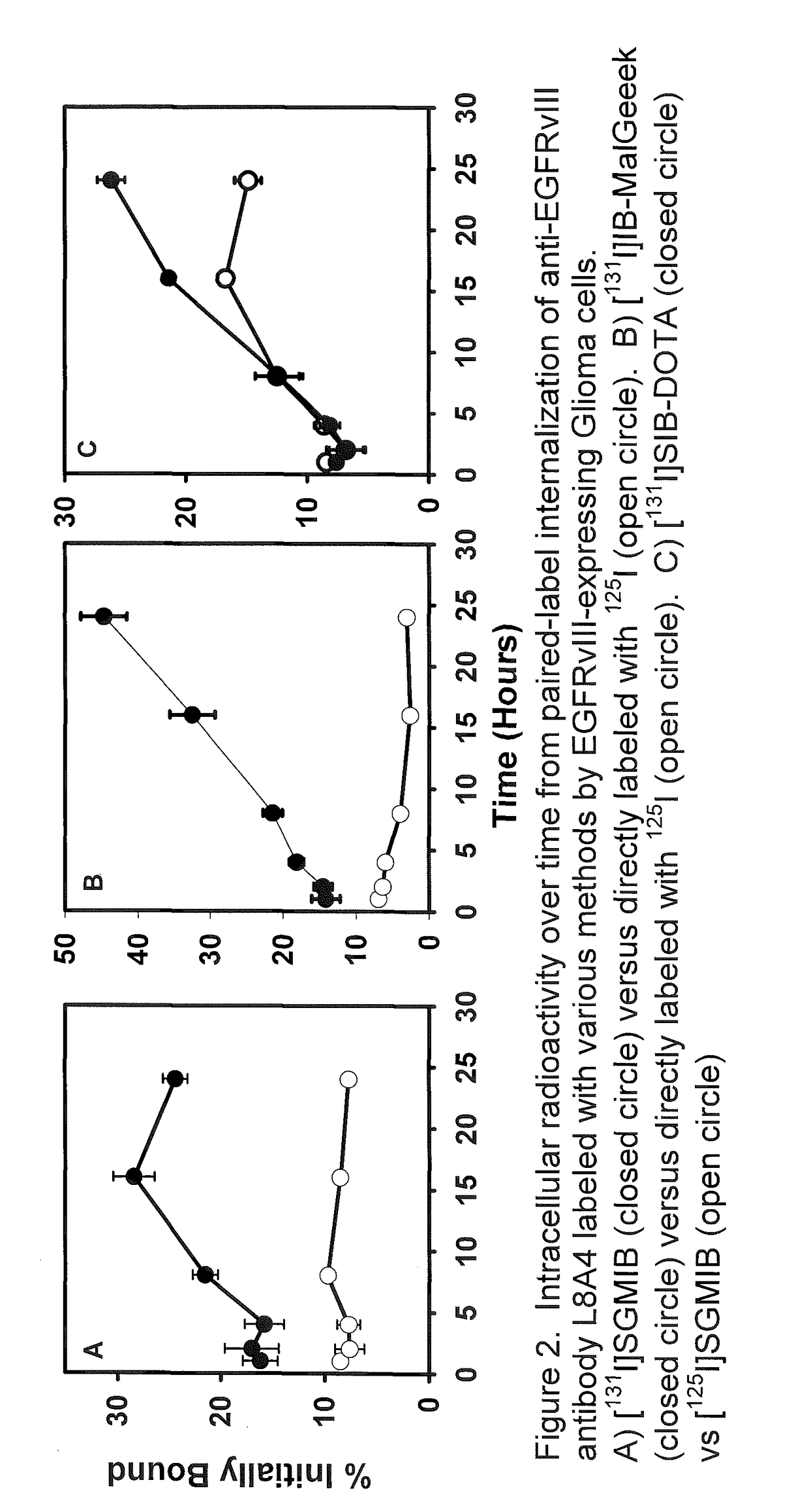 Prosthetic compounds for labeling internalizing biomolecules