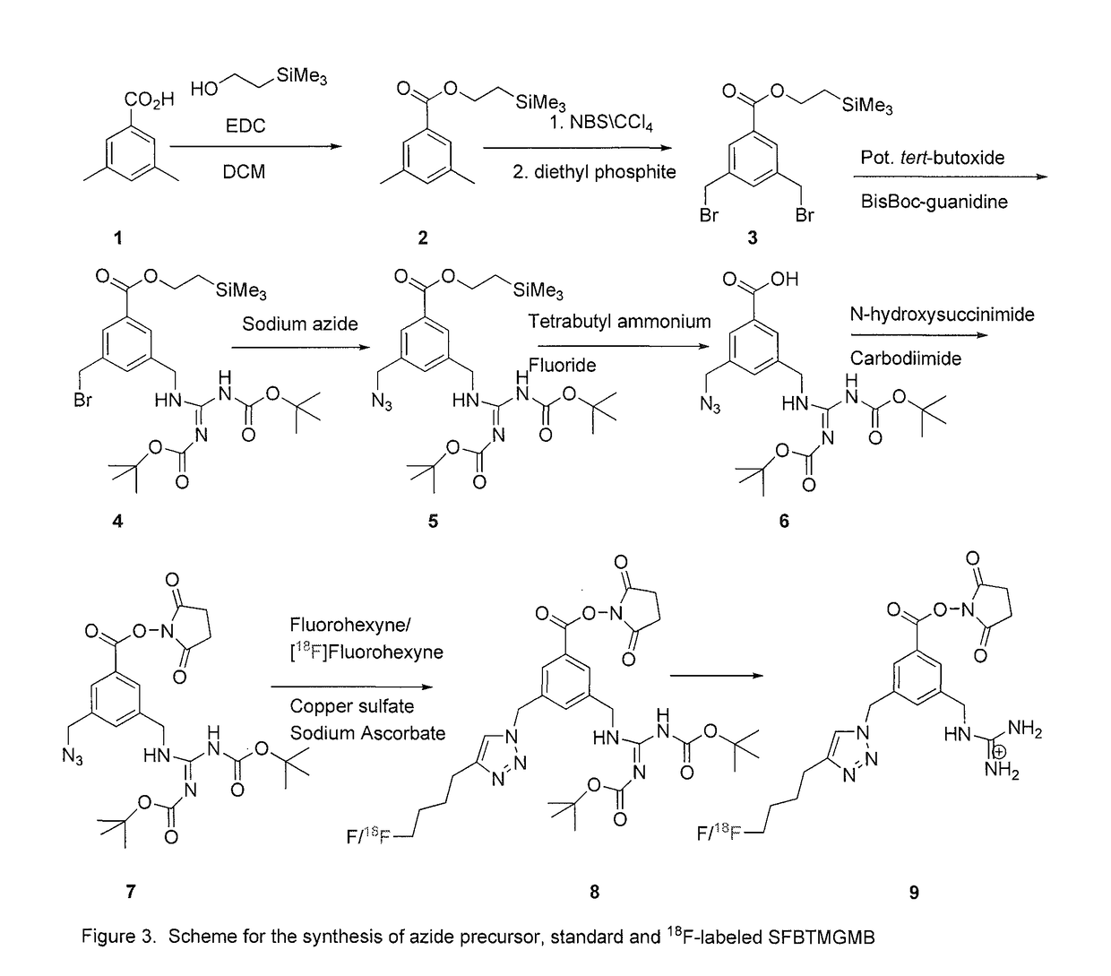 Prosthetic compounds for labeling internalizing biomolecules