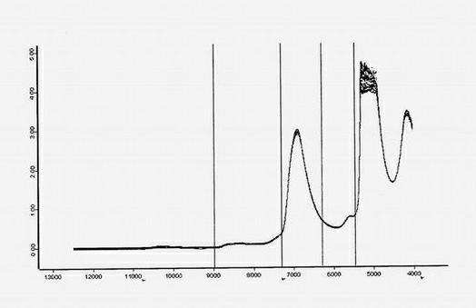 Method for measuring content of paeoniflorin in radix paeoniae alba extracting process by aid of near infrared spectrums