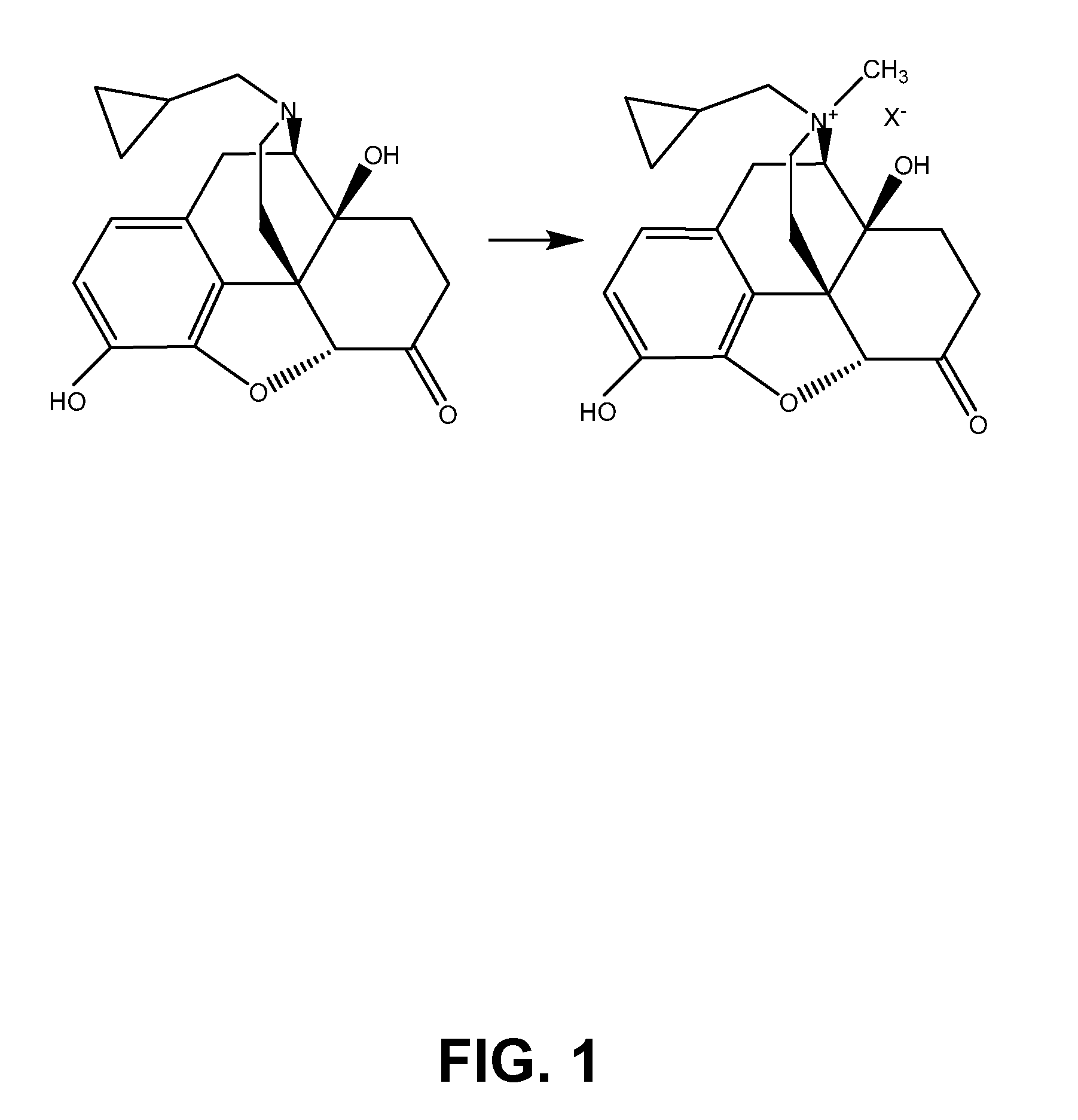 TREATMENT WITH OPIOID ANTAGONISTS AND mTOR INHIBITORS