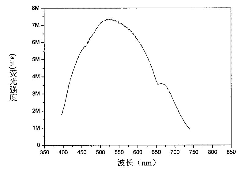 Chitosan/quantum dot nanocomposite film and preparation method and application thereof